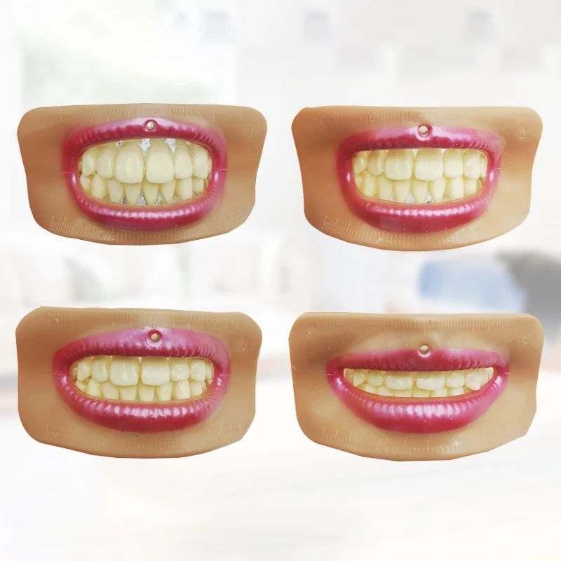 4pcs Different Shape Dental Lab Denture Mouth Lip Model Denture Laboratory  Measurement Tool Tooth Arrangement