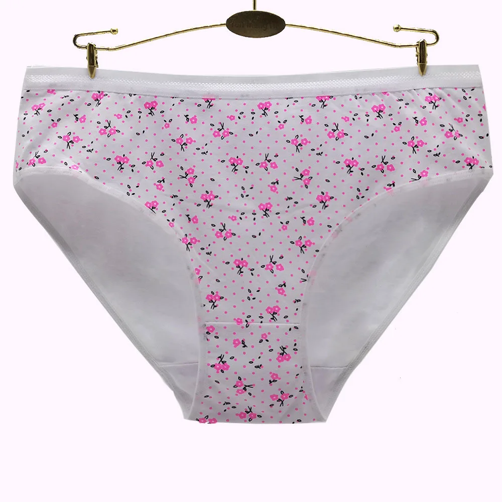 6 Pieces/lot Cotton Panties Plus Size Underwear Women Briefs