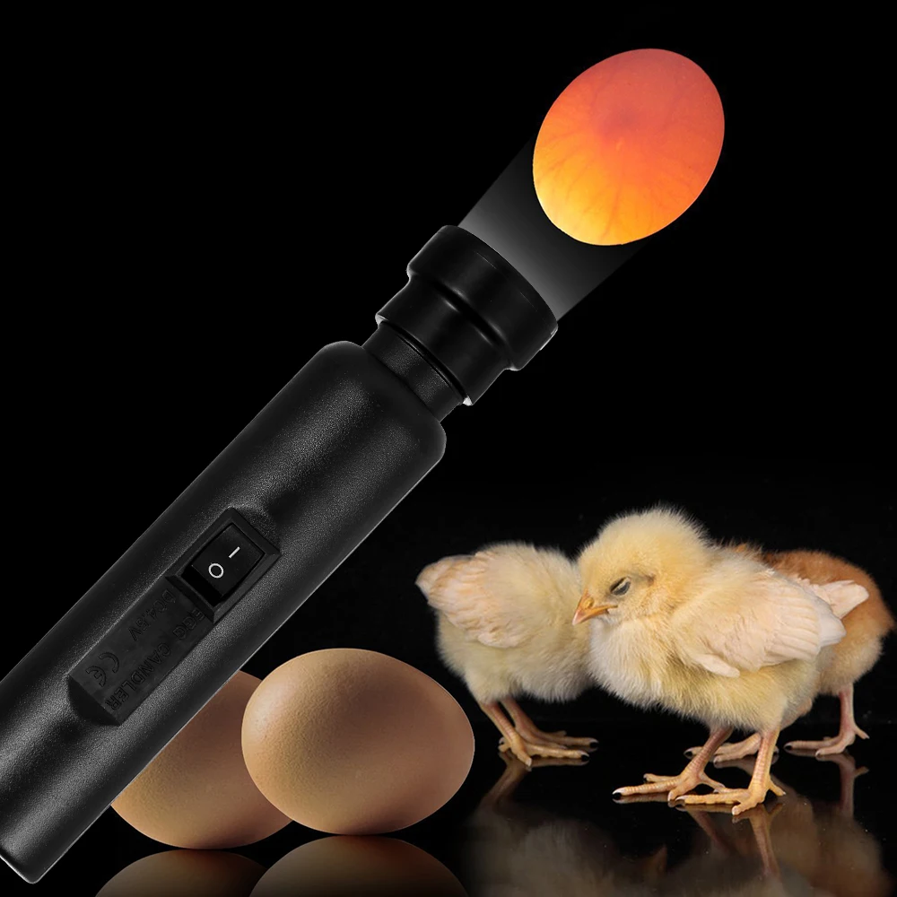 Egg Candler Tester Bright Cool LED Light for Chicken Quail Poultry Incubator Brooder Warehouse Exclusive