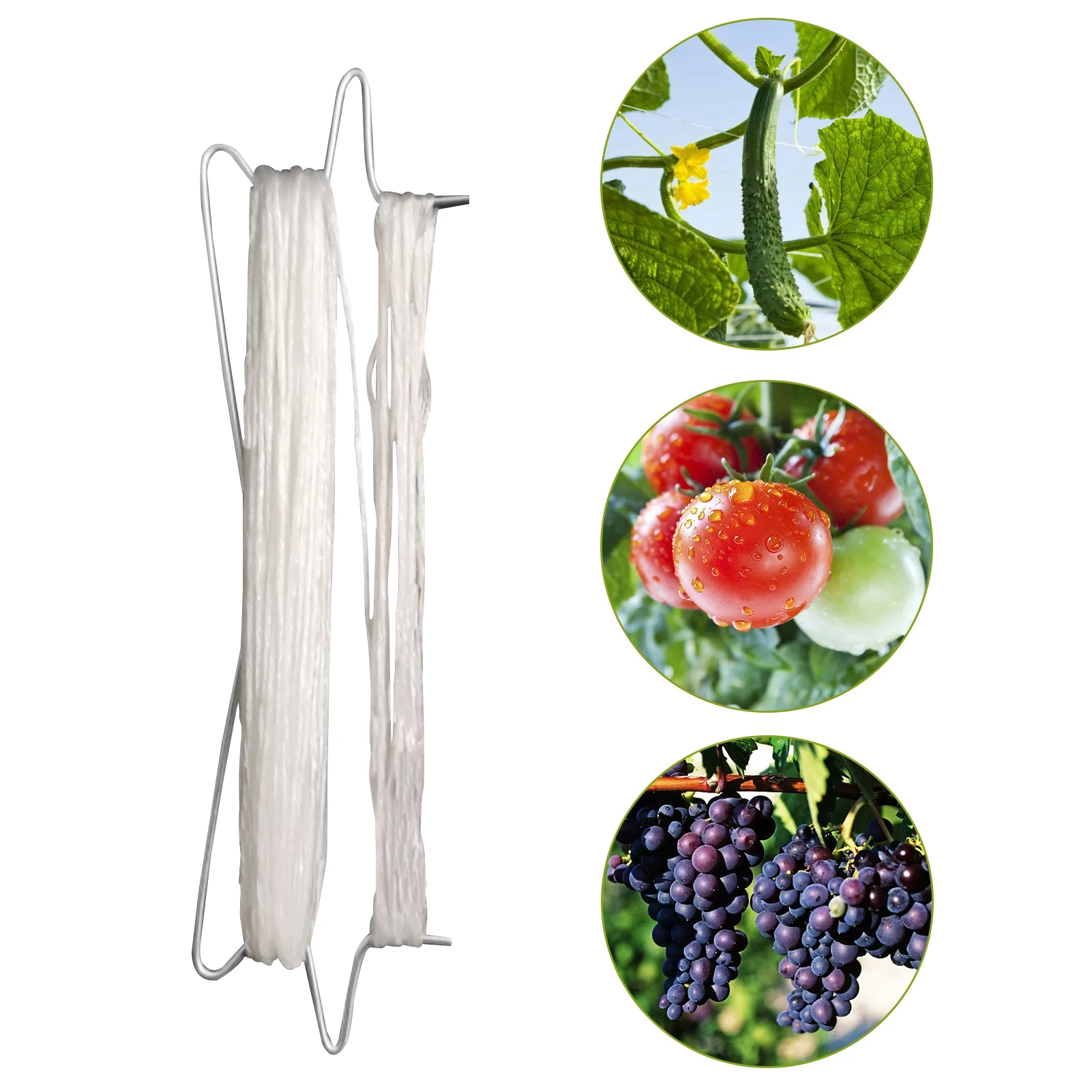 6/10pcs Planting Tomato Hooks Twine Roller Greenhouse Vegetable Support Clips plant clips plastic plant clips