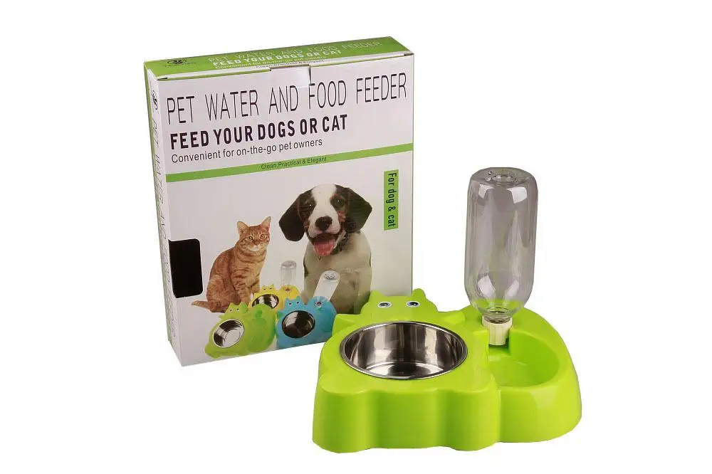 Squirrel frog cartoon dog drinking bowl (28)