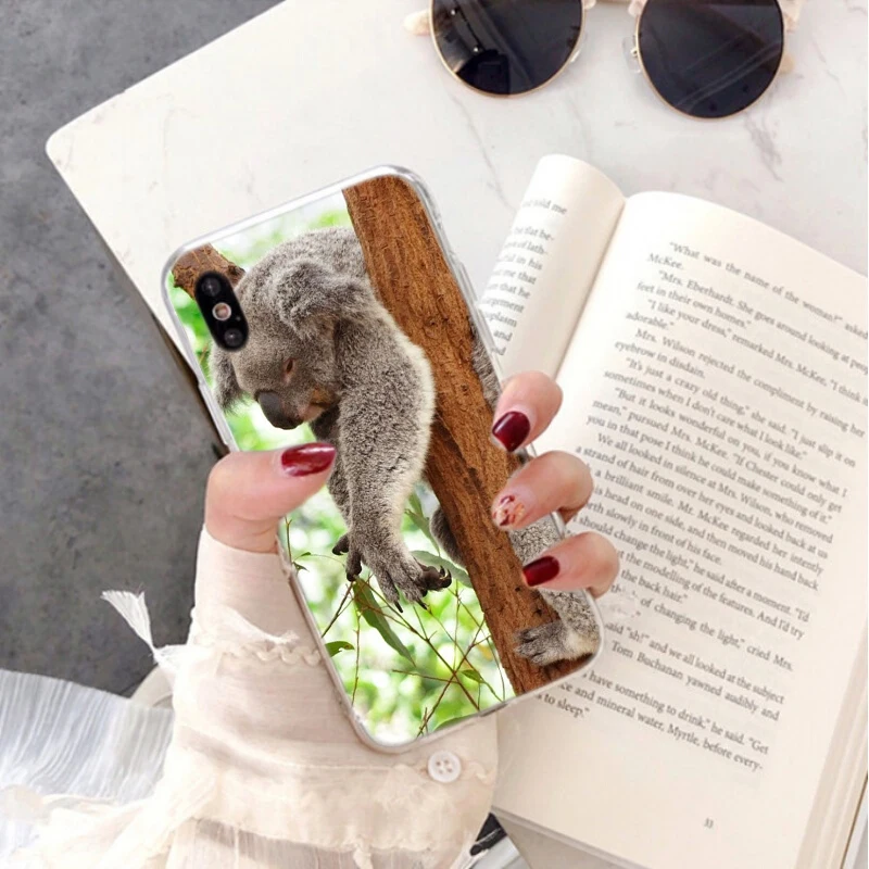 Animal sleeping lazy koala