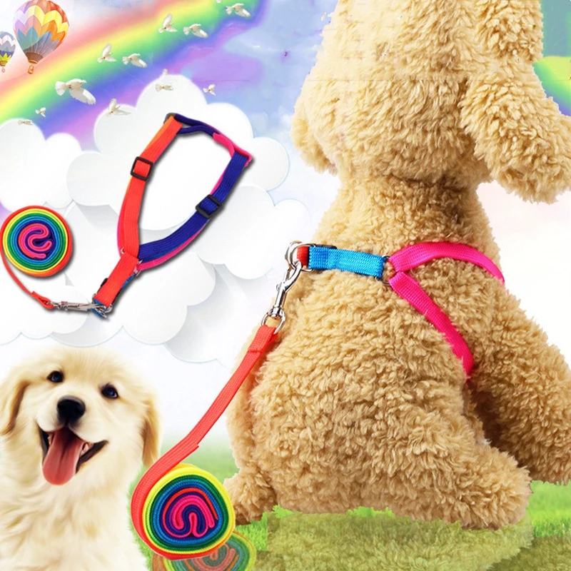 

Rainbow Gradient Nylon Dog Harness Leash Lead Set for Small Medium Dogs Puppy Chihuahua Yorkie Pet Harnesses Puppy Arnes Perro