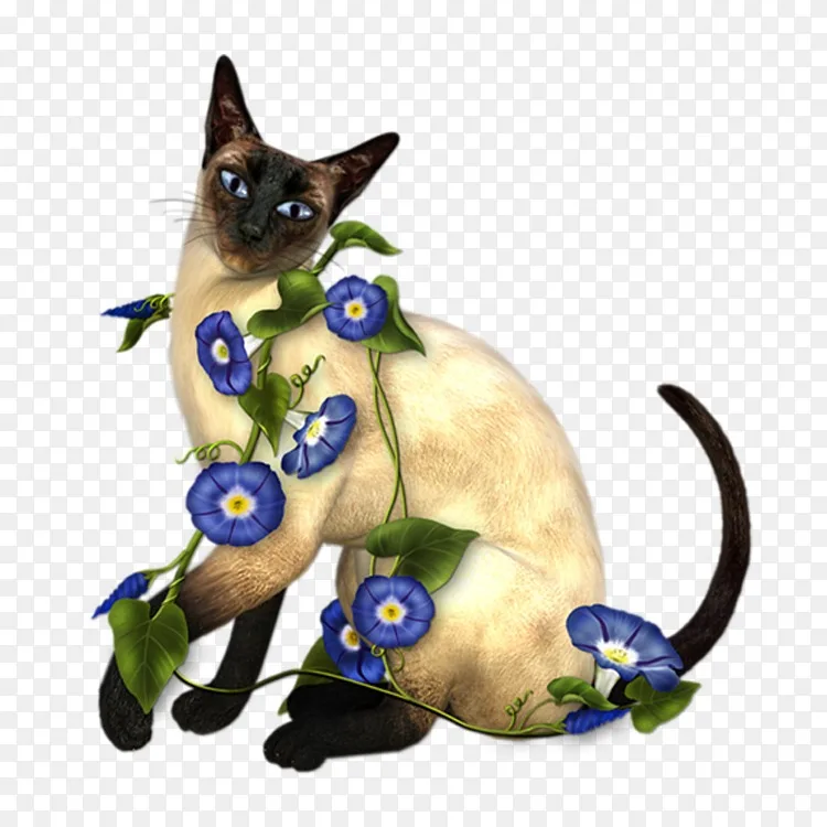 泰国猫外国白猫 暹罗猫png图片素材免费下载 图片编号 Png素材网 泰国猫外国白猫 暹罗猫png图片素材免费下载 图片编号 Png素材网