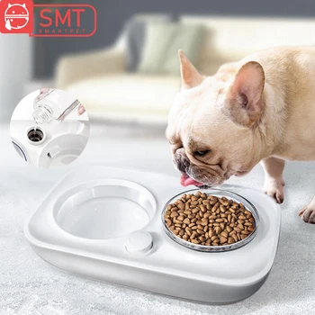 

Smartpet 15 Degree Automatic Cat Bowls Double Bowls 2 In 1 Pet Food And Water Bowl Cats Dogs Feeders Cat Dish Pet Supplies