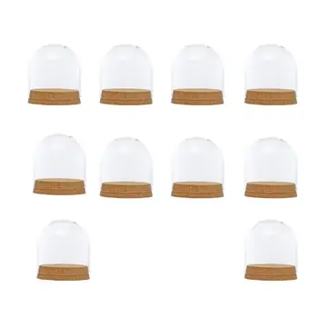 

10Pcs 8x8cm Clear Glass Display Cloche Bell Jar Dome Flower Immortal Preservation Vase Wooden Base Home Wedding Decor Ornament