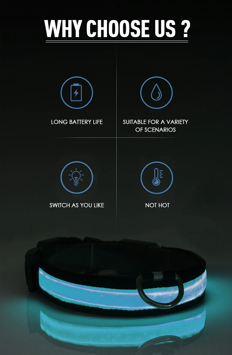 LED Dog Collar, 15 Light Modes, USB-C Rechargeable, Glow Light Up Dog Collar (Blue Pro, XL(19.7-23.6