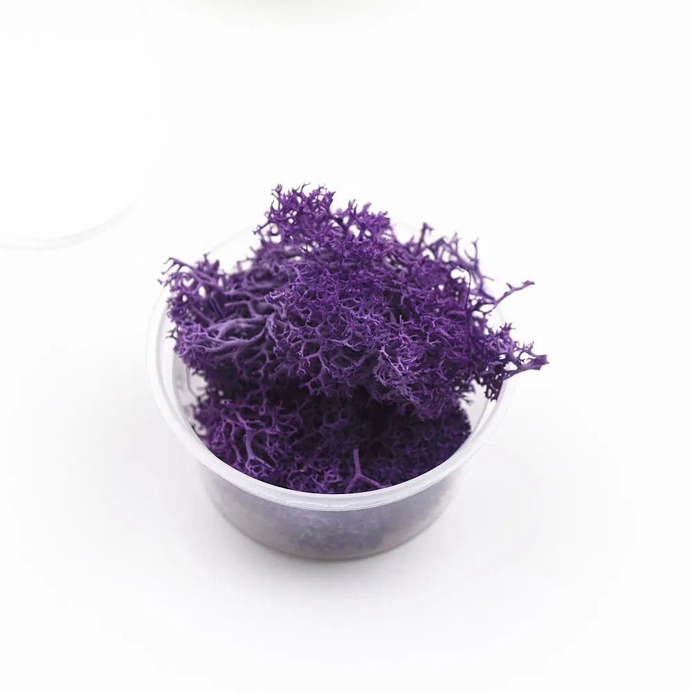 purple 1 коробка 2-2,5 грамм серьги цвета мха из натурального агата microlandschaft наполнитель для стеклянного глобуса силиконовая форма DIY ювелирных изделий ремесло materia - Цвет: purple