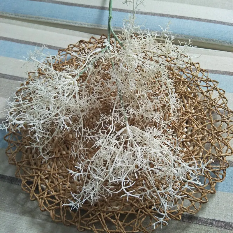 11879284912_1611482457