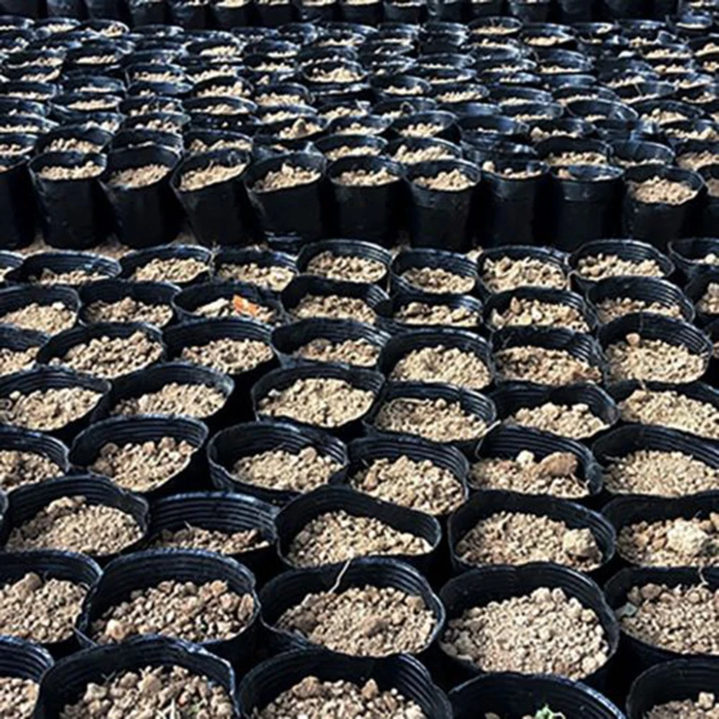 100pcs/set Household Garden Black Plastic Plant Nutrition Pots Practical Durable Soft Plant Nutrition Pots Garden Supplies 5