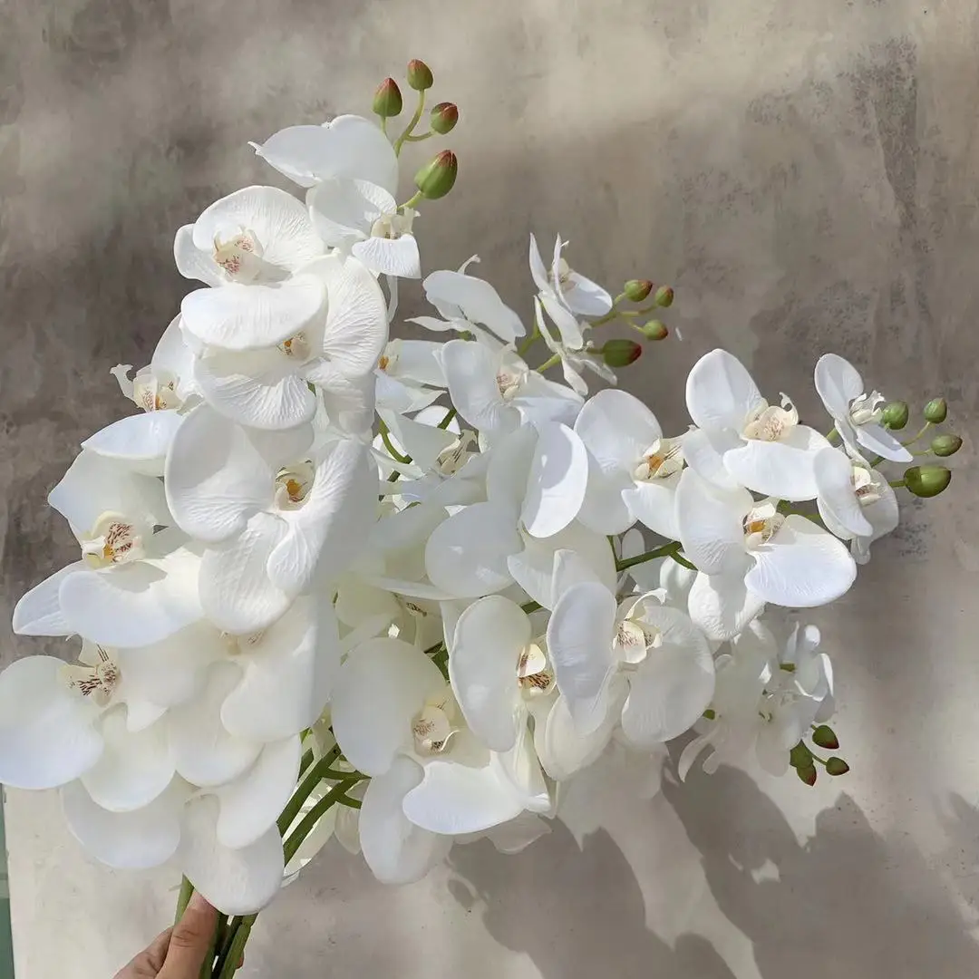 

10 Head Large Size Dreamy Butterfly Orchid Top Grade Imitation Flowers Wholesale Silk Flower Plastic Flower Decoration Wedding S