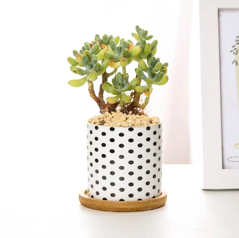 QQ截图20191202102801