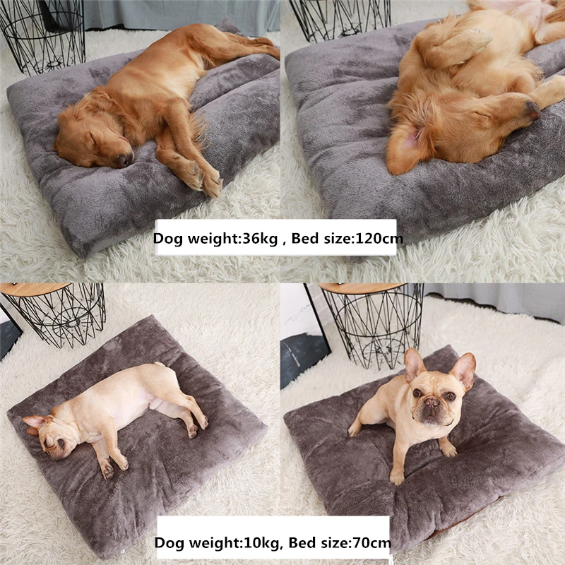 201911283626379166601975