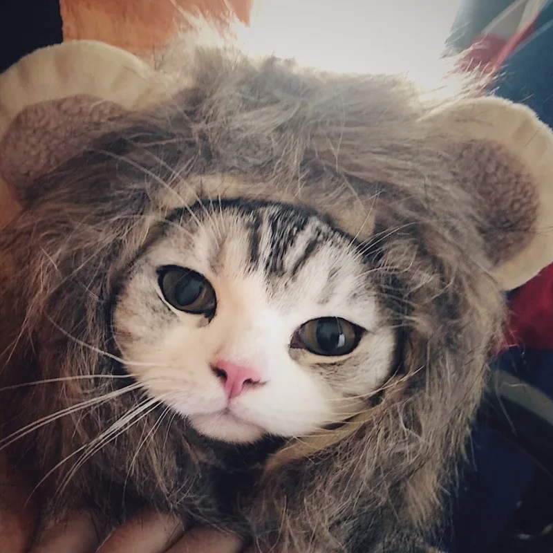 Костюм Льва гривы для кошки щенка маленькая собака милые забавные костюмы