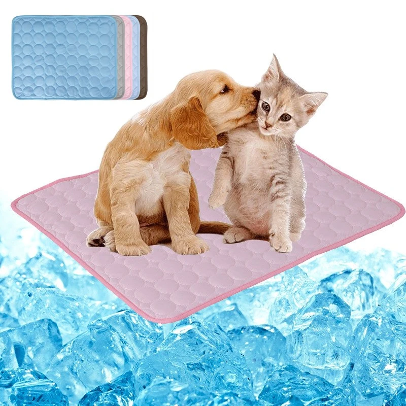 Can Dogs Overheat In Bed