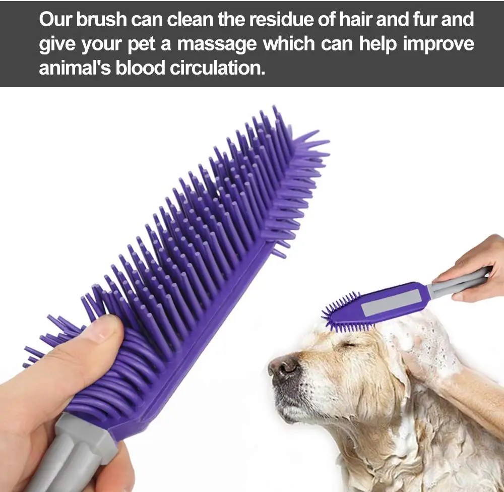 61rp8weypiL._AC_SL1000_