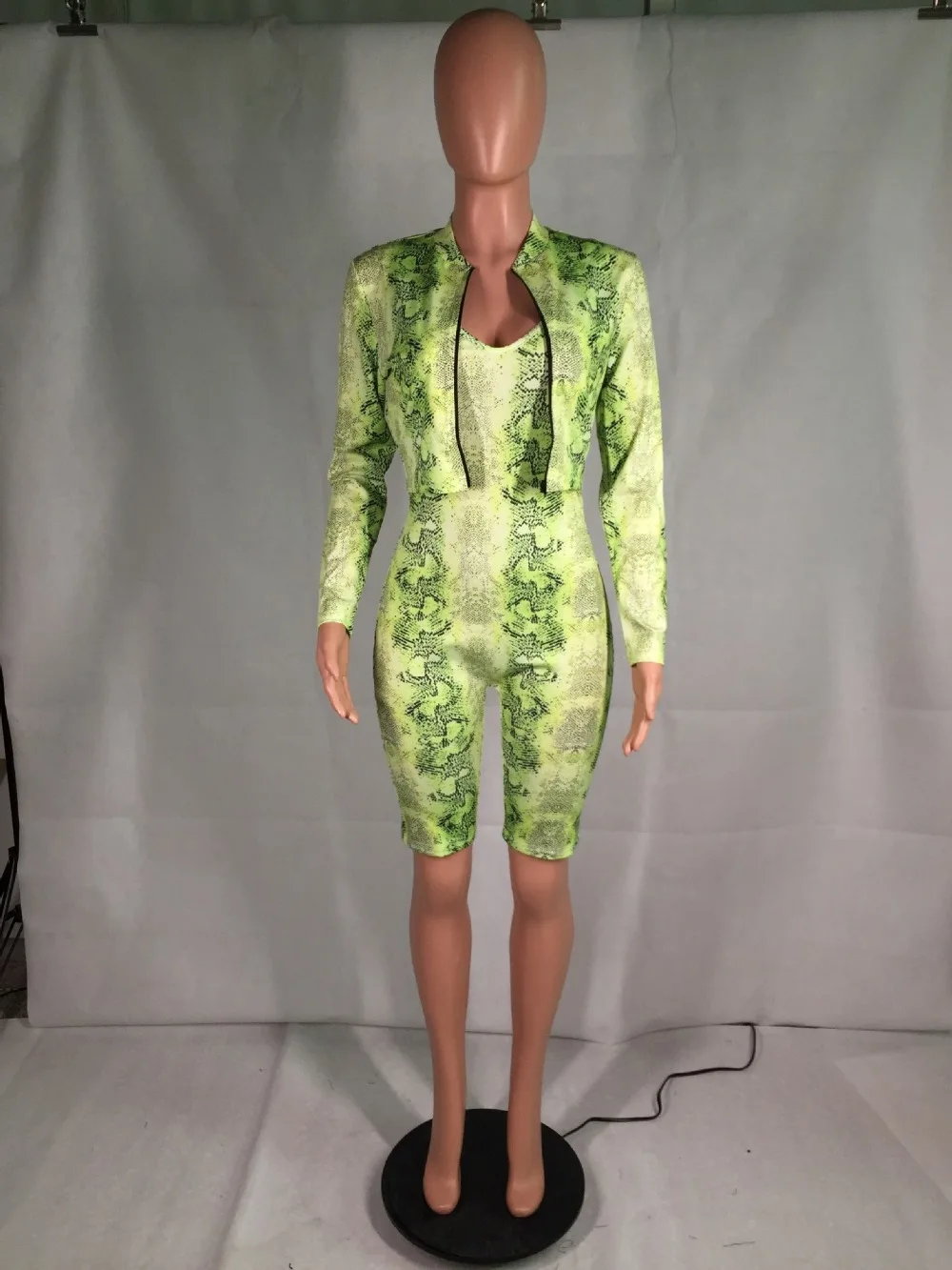 11450491597_1416585202