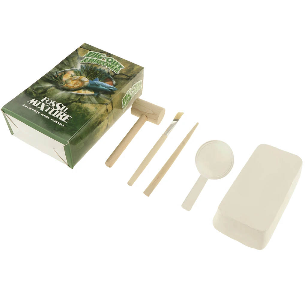 Natural Rock & Mineral Specimens Dig Kit - Discovery Geology Science Educational Toys Kids Learning Gift #B
