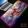 Computer Peripherals