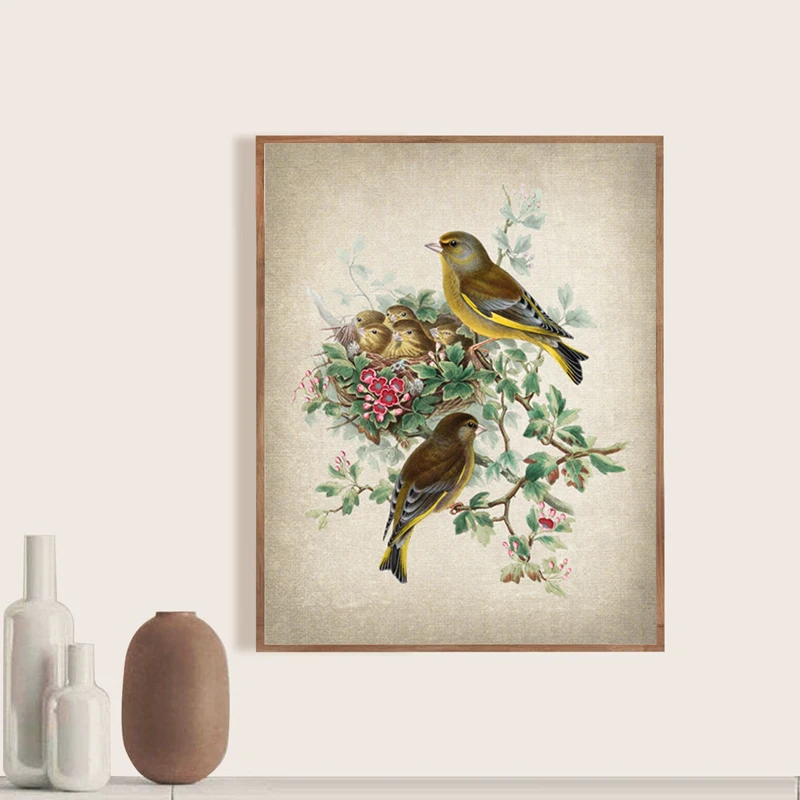 Bird-Botanical-Poster-Greenfinch-Bird-Antique-Illustration-Print-Nest-Natural-History-Wall-Art-Canvas-Painting-Living (3)