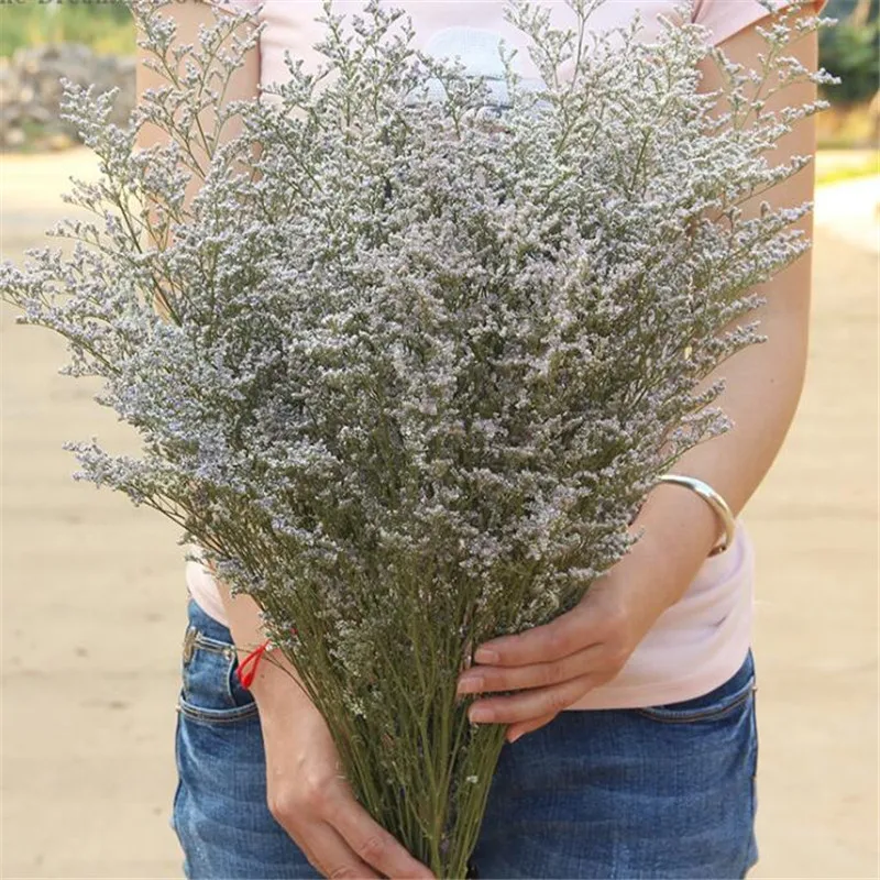 

1bundle True color Lover Grass 45-50CM DIY Wedding Party Photo Props natural plant Dried Flowers Cafe Library Home decoration
