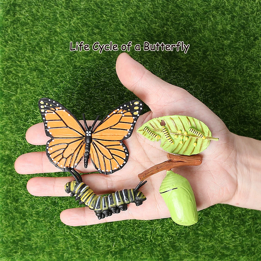 Science-Toy Action-Figures Insect Cycle-Figurine-Of-A-Monarch Growth-Cycle Animals Educational