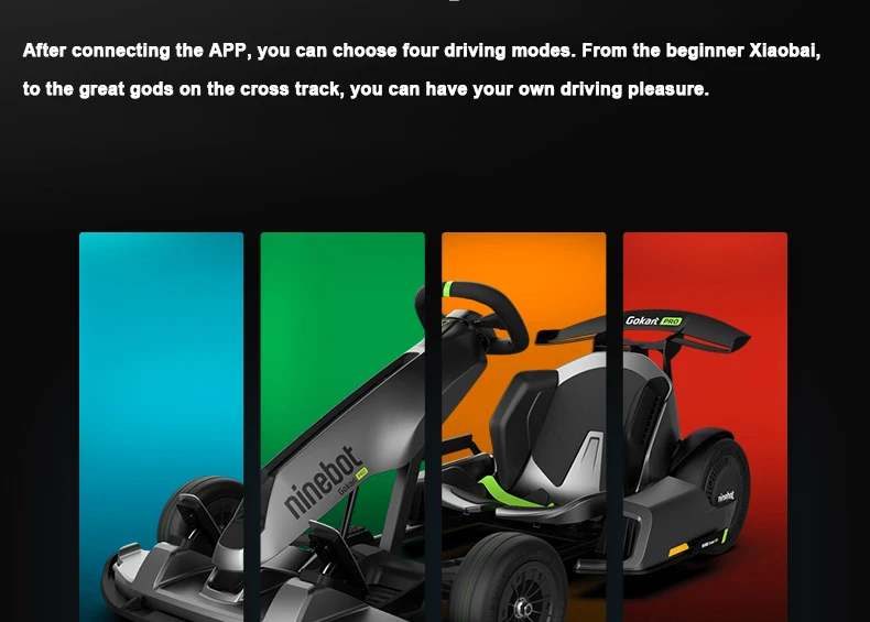 4800w Motor Kart Pro Electric Car Balance Car Kart Adult High With