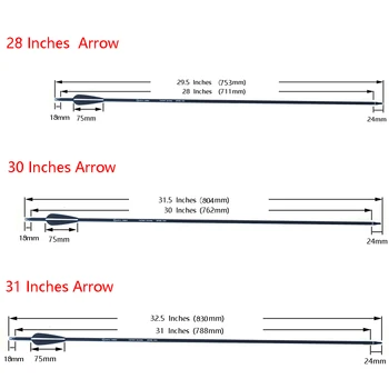 Archery 28/30/31 Inch Spine - 500 Carbon Arrows With Steel Point for Compound Recurve Bow Hunting Shooting 2