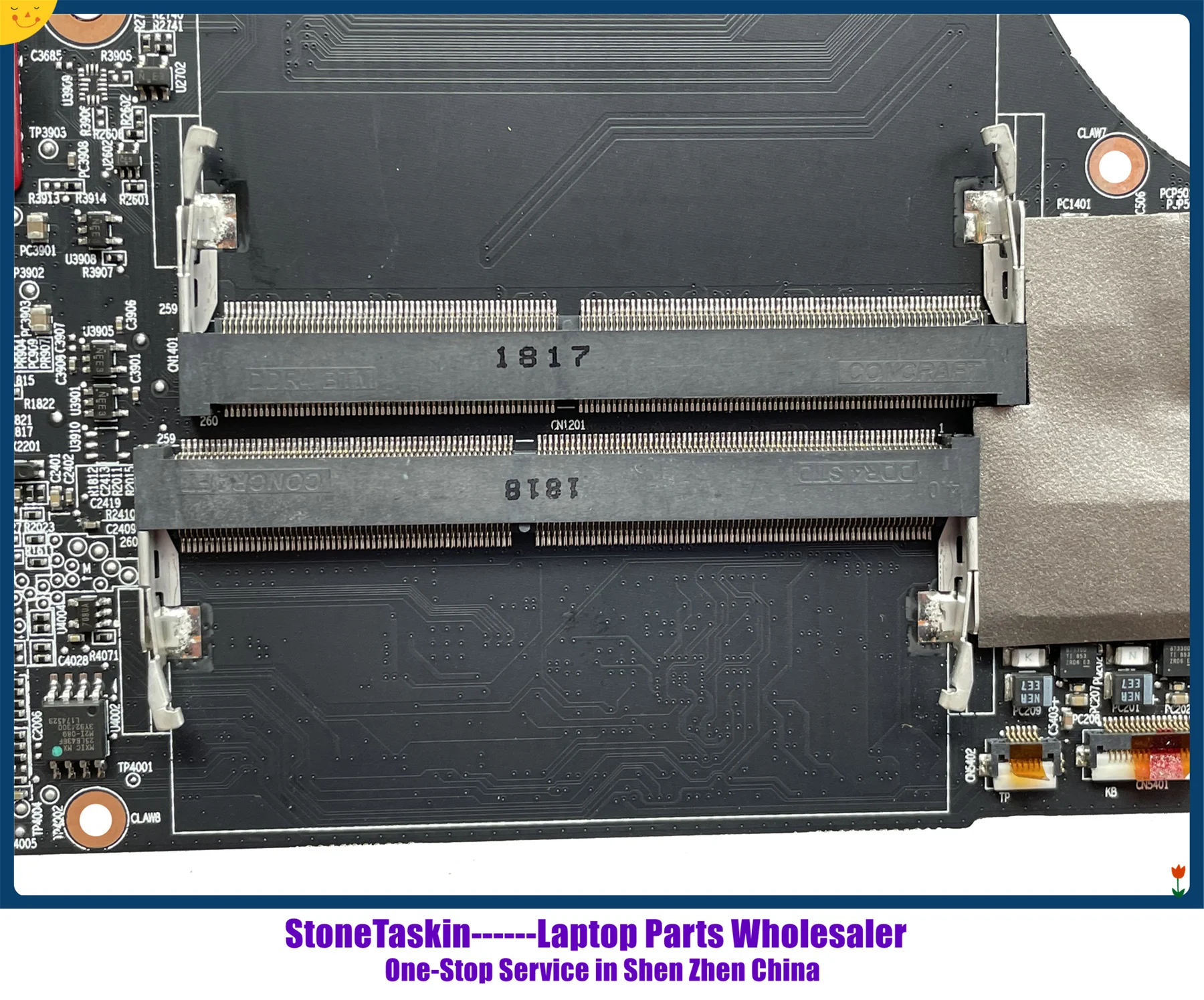 C1-MB PVT V3.0 Razer (8).jpg