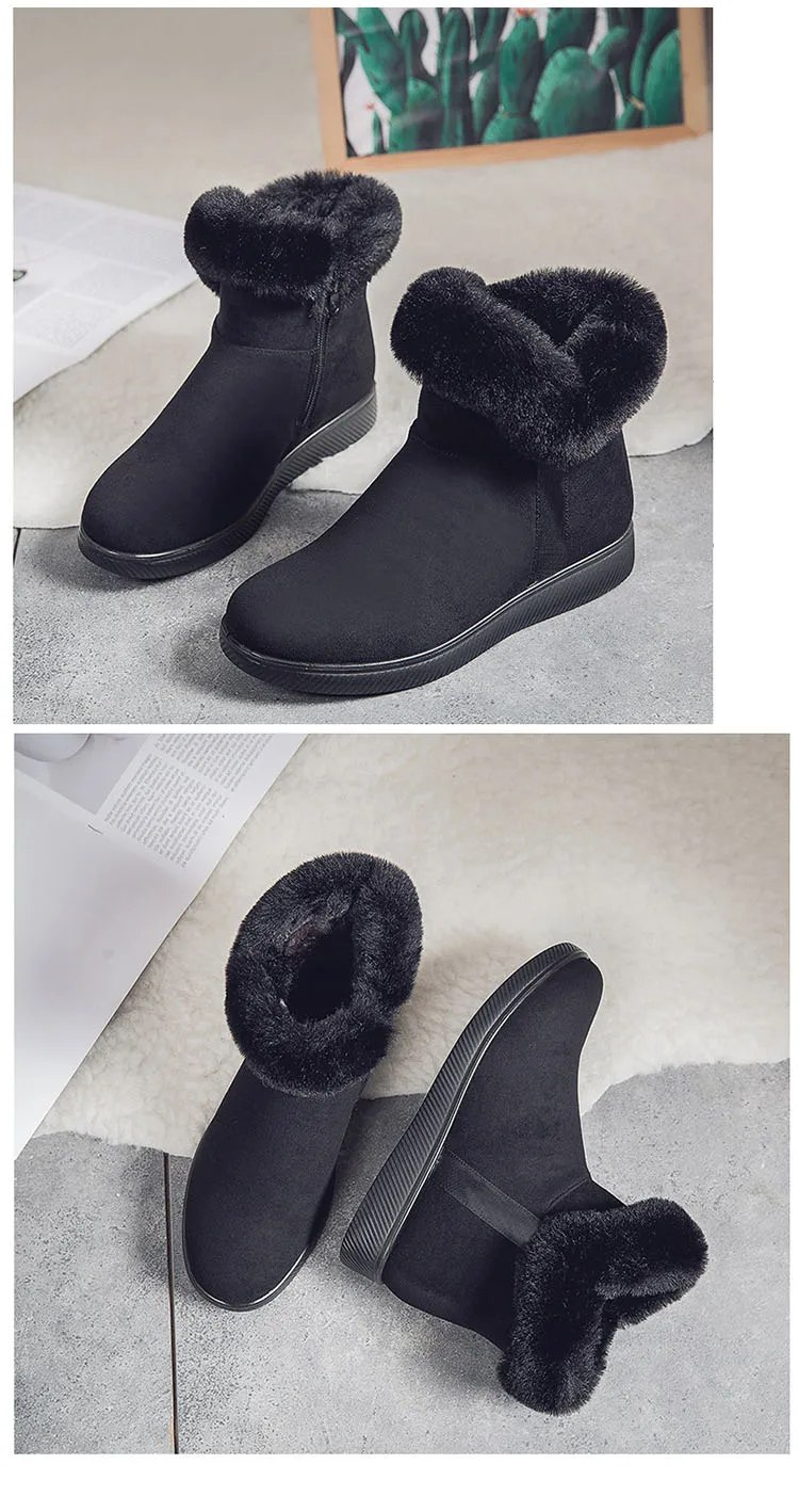 12262788020_1543528886