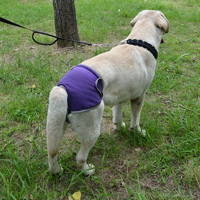Pet Underwear Physiological Pants For Female Small Dog Washable Durable Doggie Diapers Underwear Short Diaper XS-XL dog diapers pet diapers dog nappies