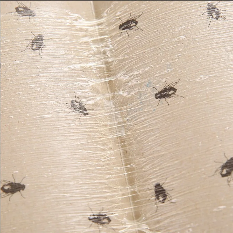 10 шт. сильная ловушка silverfish липкая доска клей безопасный нетоксичный комаров Базз фруктовые мухи Ловца ошибок устройство для борьбы с вредителями