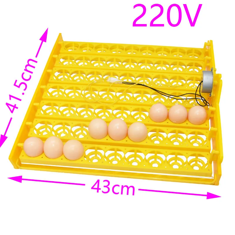 220V