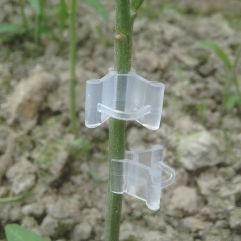 10Pcs Gardening Grafting Clips Garden Vegetable Flower Vine Bushes Plants | Дом и сад