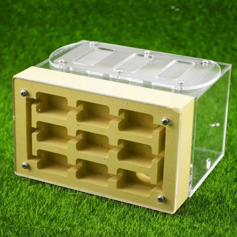 

Pet Gypsum Nest Acrylic Breeding Nest Ants Farm House Reptile Terrarium Gifts Box