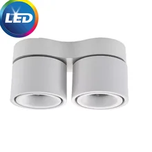 Dimmable Surface Mounted LED COB Downlight14W/20W Rotating LED Spot Light Ceiling Lamp with LED Driver AC110V/220V