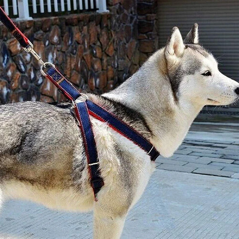 Benepaw стильный мягкий Маленький Средний Поводок для собак, набор регулируемых прочных поводков для щенков, жилет для чихуахуа, питбуля