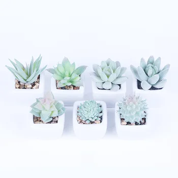 

Artificial Succulent Pant Combination Potted Plant, Creative Fashion Decoration