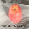 60Mesh 250Micron