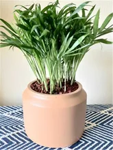  Big Round Plaster Clay Resin Flowerpot Silicone Cement Vase Mould Concrete Planter Flowers Pot Casting Mold 