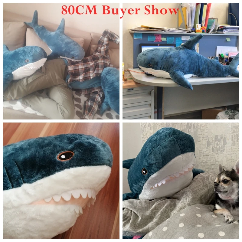80CM buyer show