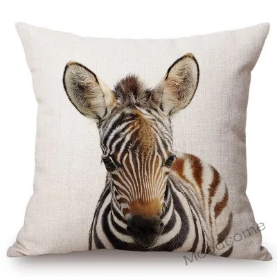 conew_t215 (31) 副本