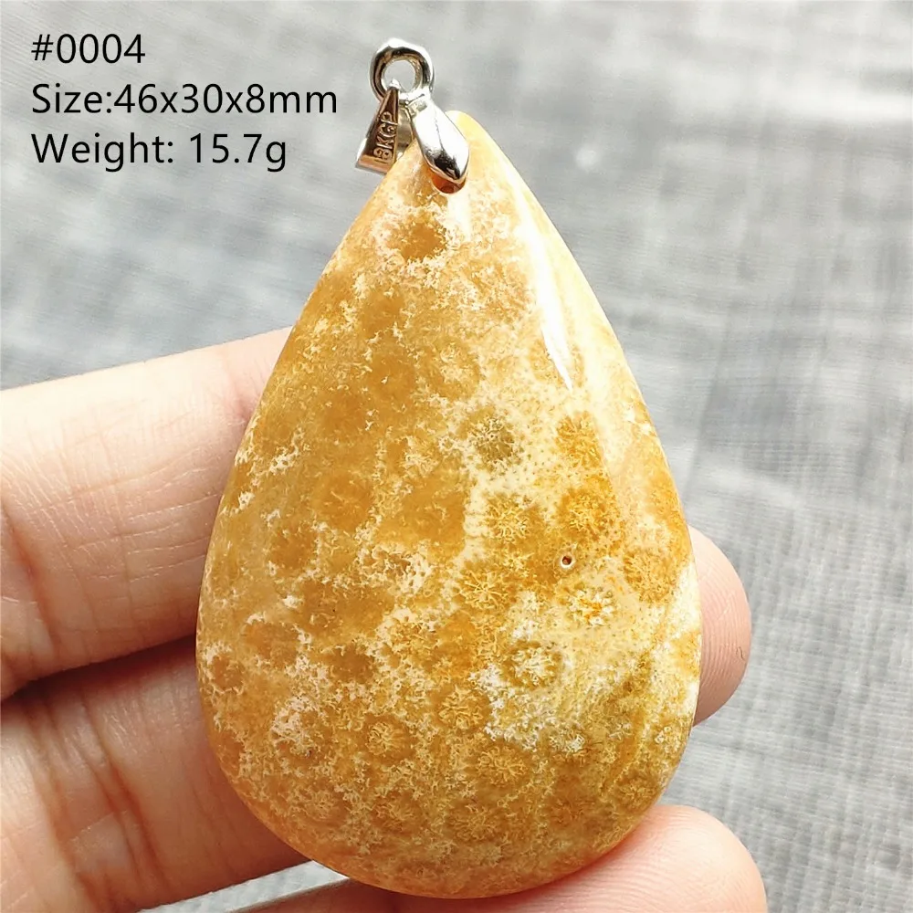 SHP0004 (3)