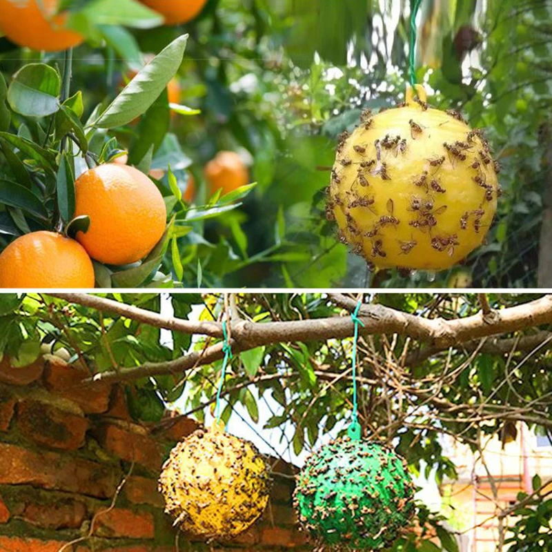 1Pc Riutilizzabile Appeso Fly Trap Catcher Fly Catcher Trappola Per Insetti Appeso Stile Disinfestazione Dropshipping