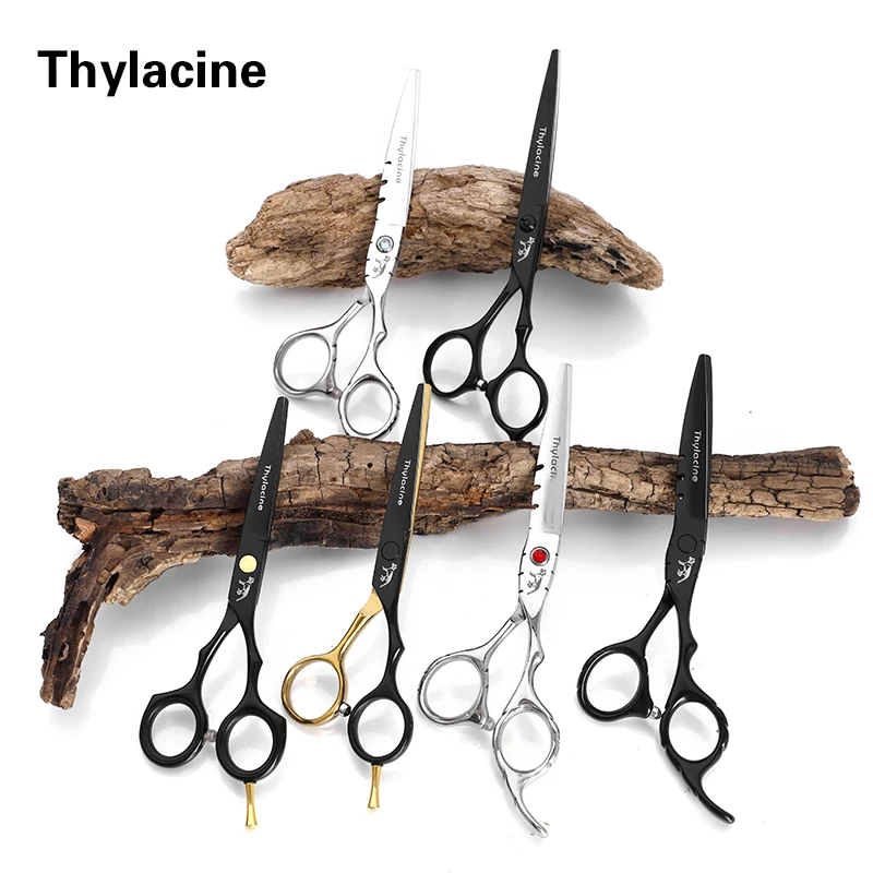 

Dylacine 6.0inch Professional Styling Tool Cutting Thinning Hairdressing Scissors Japan 4cr Stainless Steel Salon Barber
