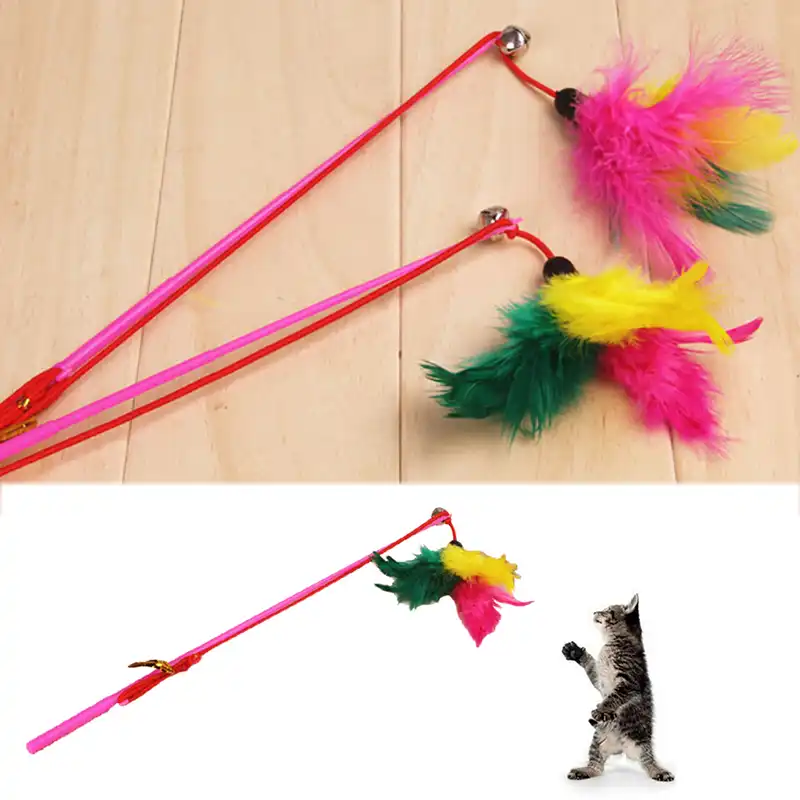 cat play house action