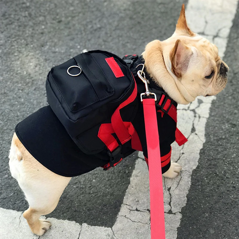 backpack harness for small dogs