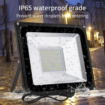 

100W 220V LED Floodlight Waterproof IP65 Outdoor Lamp With EU Plug Warm White Kitchen Living Room With Lamp