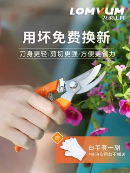 

Longyun Horticultural Scissors Pruning Fruit Tree Scissors Multifunctional Household Effort-saving Branch Scissors Tool Pruning