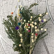 20 г/пачка, 20-30 см настоящий сушеный натуральный свежий навсегда маленький цветочный букет декоративная вечная трава, сухие консервированные растения для дома